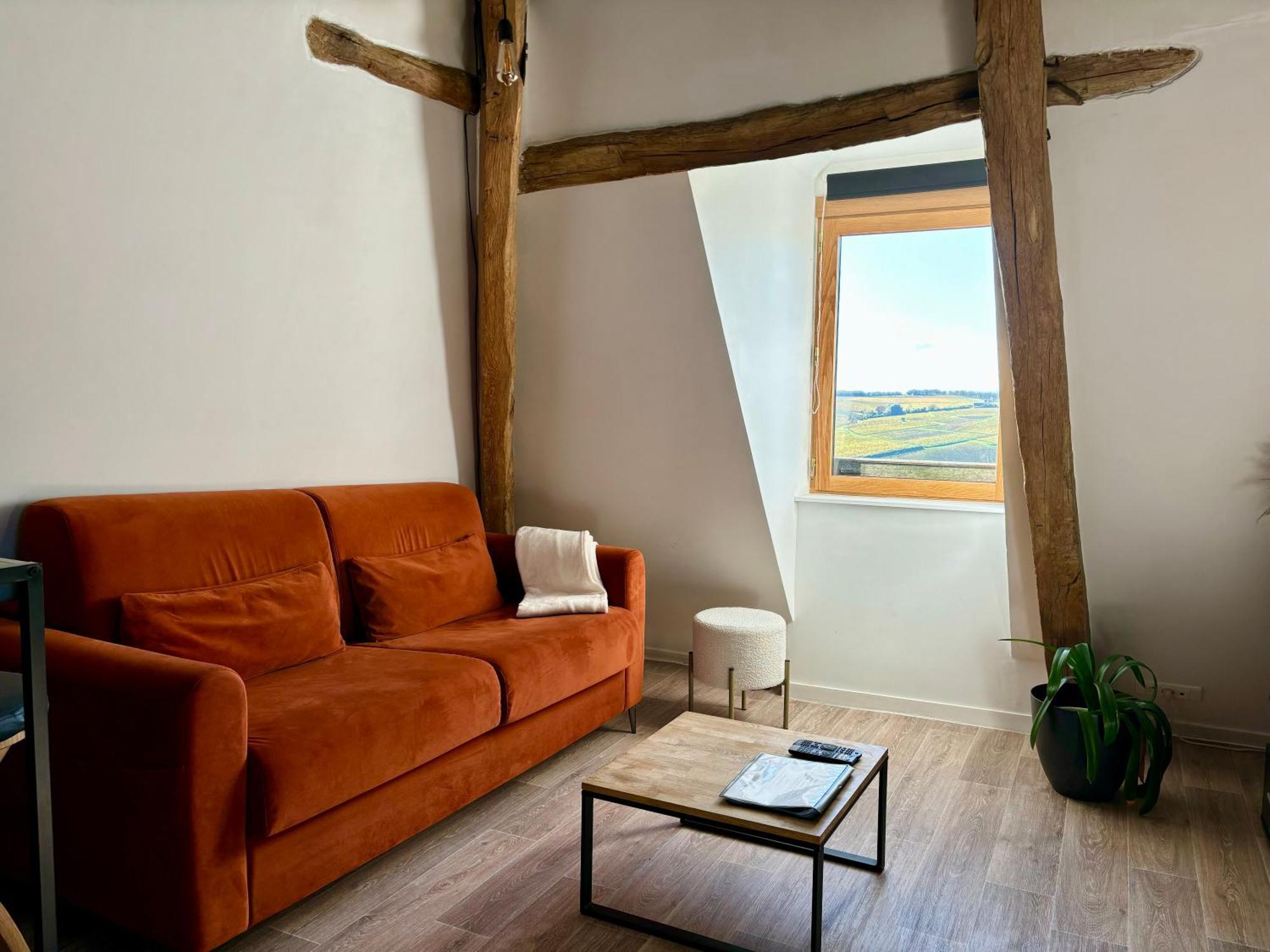 Appartement Cosy Vue Sur Le Vignoble Sancerre Exterior photo